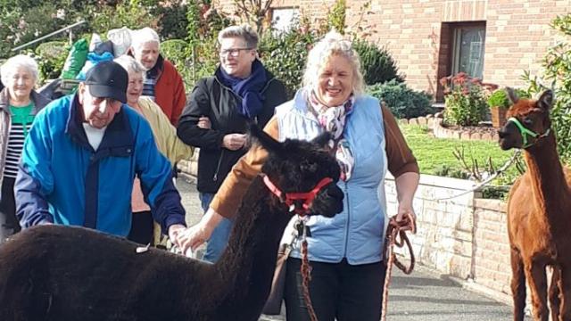 Christina Engelhardt (r.) begrüßte mit ihren Alpakas die Gruppe der Gäste aus der Caritas-Tagespflege Duderstadt. | Foto: Caritas Christina Engelhardt (r.) begrüßte mit ihren Alpakas die Gruppe der Gäste aus der Caritas-Tagespflege Duderstadt. | Foto: Caritas
