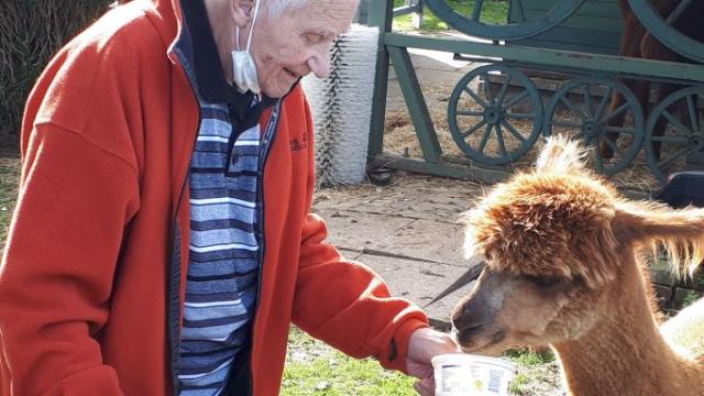 Ganz nah ran kamen die Tagesgäste ... Ganz nah ran kamen die Tagesgäste ...