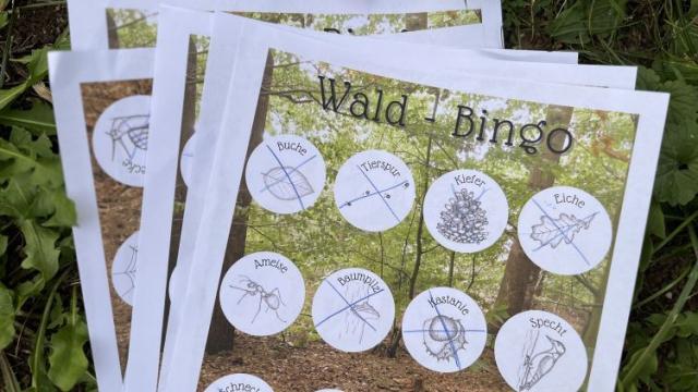 Familienwanderung auf den Pferdeberg