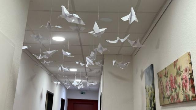 Zahlreiche Tauben schmücken nun den Flur und … Zahlreiche Tauben schmücken nun den Flur und …